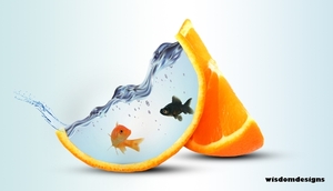 vis in fruit