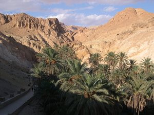 Een oase in de rotswoestijn