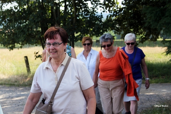 sized_sized_IMG_33443a-KBC senioren wandelen in Asbeek