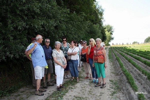sized_sized_IMG_33454a-KBC senioren wandelen in Asbeek
