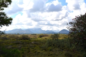 042 Mallorca oktober 2014 - wandeling naar Pollença