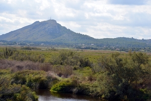 172 Mallorca oktober 2014 - natuurgebied Albufereta