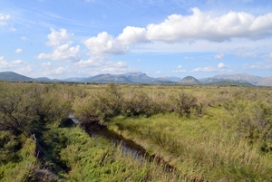 173 Mallorca oktober 2014 - natuurgebied Albufereta