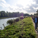 Wandelcriterium Duffel - 9 oktober 2014