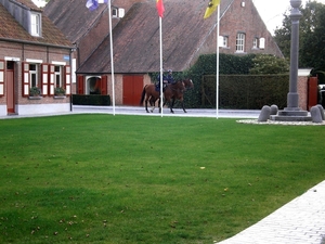 Berlaar-16-10-14 016