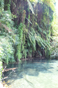 Gunung Kawi Sebatu