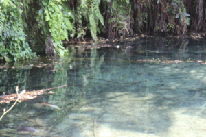 Gunung Kawi Sebatu