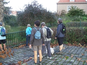 Nieuwpoort Oktober 2014 007