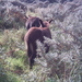 PICT0056