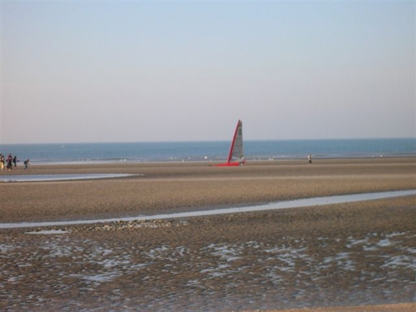 DSCN7082