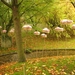 Chrysanten in de Japanse tuin 009