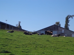 Boerderijen in de verte