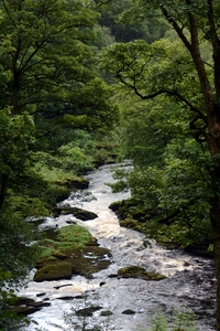 Barden Bridge 03