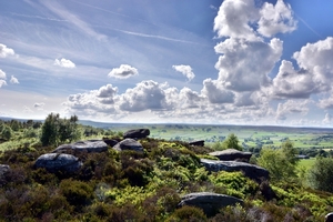 Brimham Rocks 01