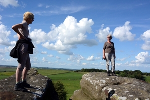 Brimham Rocks 04