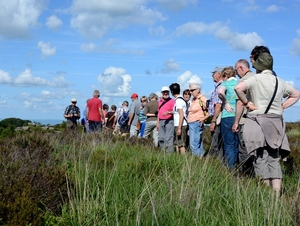 Brimham Rocks 06