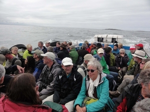 Farn Islands 07