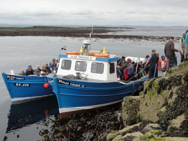 Farn Islands 08