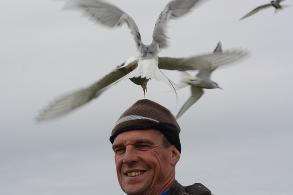 Farn Islands 32