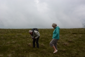 Hatside Summit 5