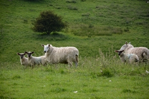 huln08