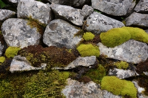 Malham Cove 01