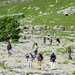 Malham Cove 06