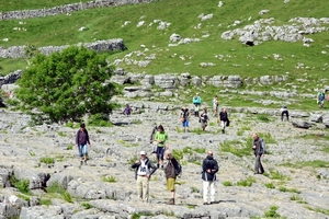 Malham Cove 06