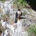 Malham Cove 09