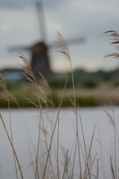 Nederland 05