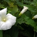 20140830_104351