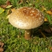 20140830_144330