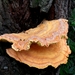 20140830_152920