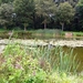 P1400218