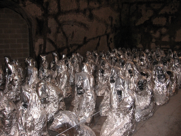 Champagne - Reims en Epernay 069