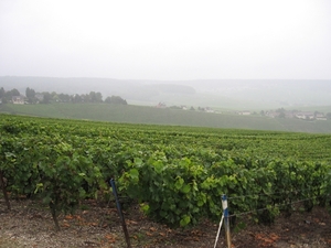 Champagne - Reims en Epernay 200