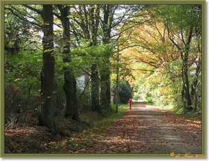 web_IMG_2030-1herfst rond de boerderij 1709x1287