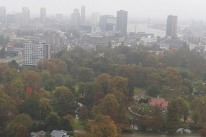 jammer van de mist