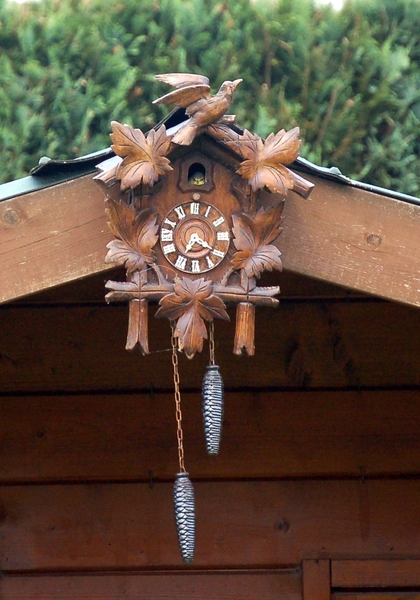 Pimpelmezen (11)