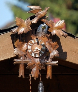 Pimpelmezen (6)
