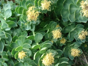 Noorwegen 268