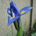 In onze tuin