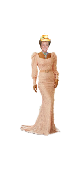 zeer mooi sjiek kleed met terry