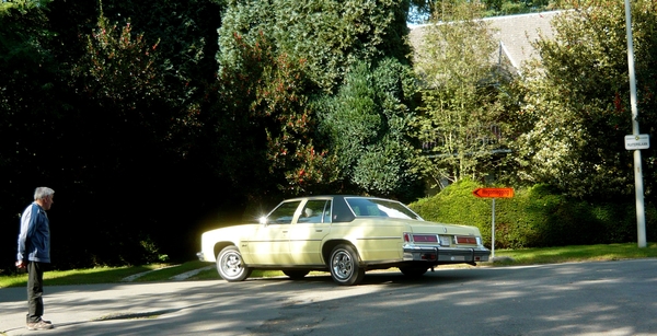 h23_P1370504_2014_09_21_RondjeKempen_BewonderendeBoer