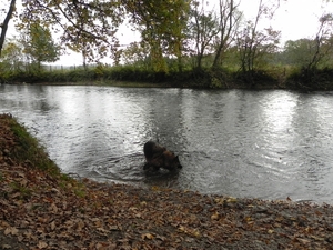 pootje baden in de Lesse