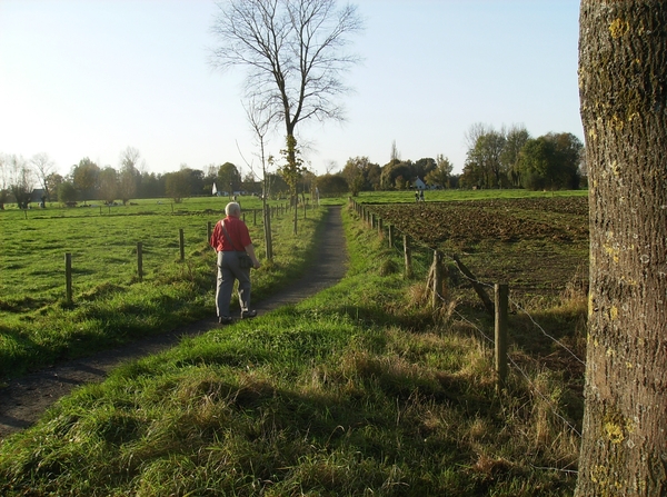 Merendree November 2014 006