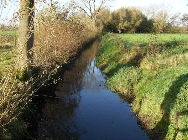 Merendree November 2014 007