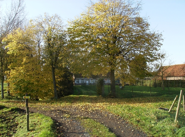 Merendree November 2014 009