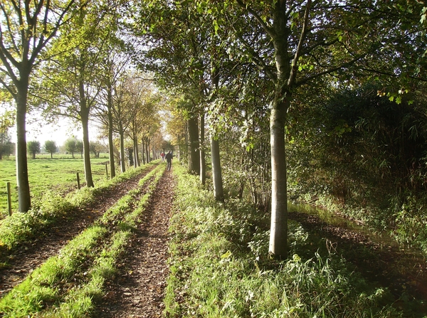 Merendree November 2014 010