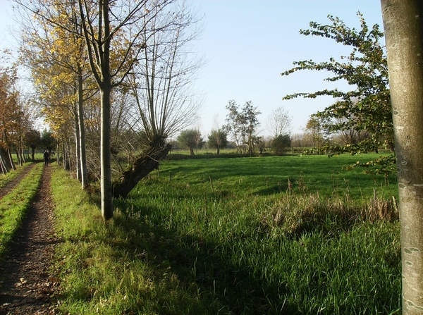 Merendree November 2014 011